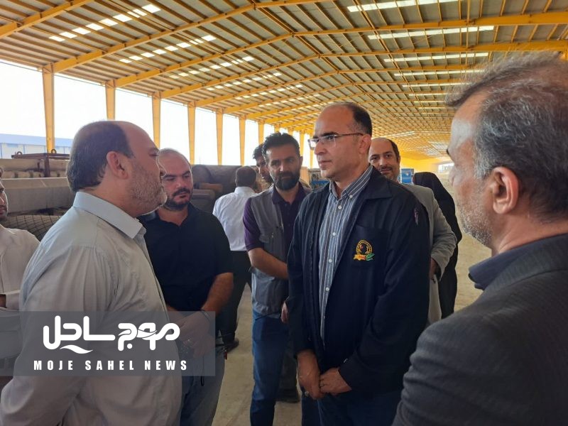 بزرگترین کارخانه شیشه فلوت خاورمیانه هفته دولت سال آینده به بهره برداری می‌رسد