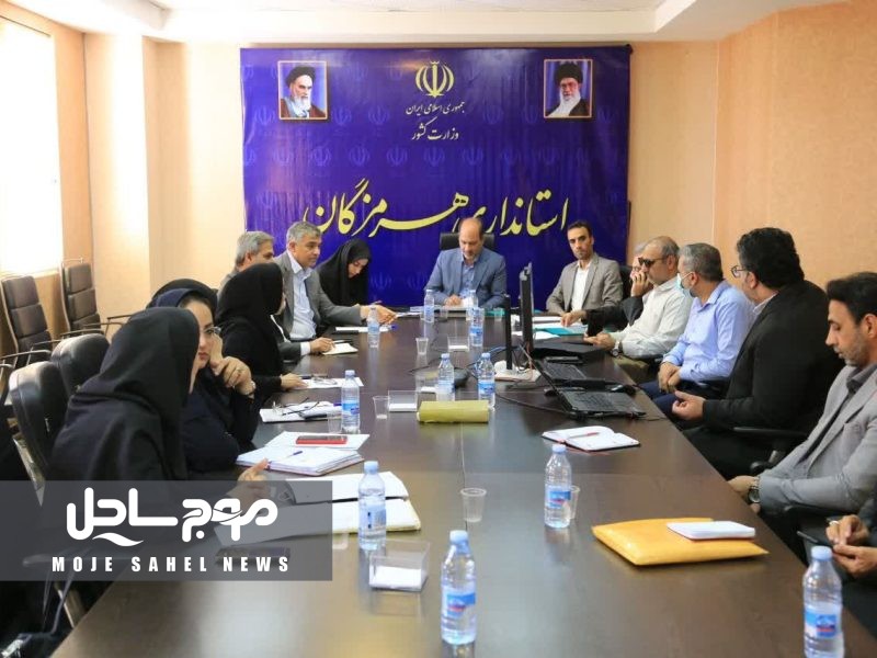 لزوم حضور پر رنگ تشکل های مردمی در حوزه های زیست محیطی، توسعه و پیشرفت پایدار ؛ تشکل های مردمی ظرفیت های غنی هرمزگان را در حوزه فرهنگ و هنر بیش از پیش معرفی کنند
