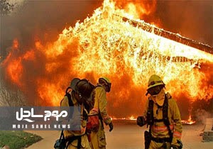 طی ۹ ماه سال ۱۴۰۳، تعداد ۱۶ نفر از فوتی های ارجاعی بر اثر سوختگی بوده