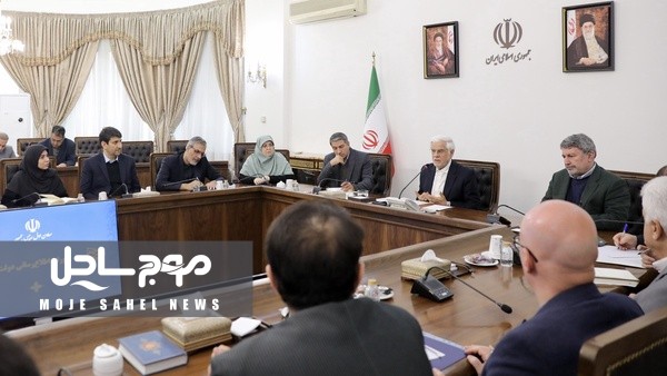 عارف: تصمیم دولت جلوگیری از گرانفروشی شب عید است