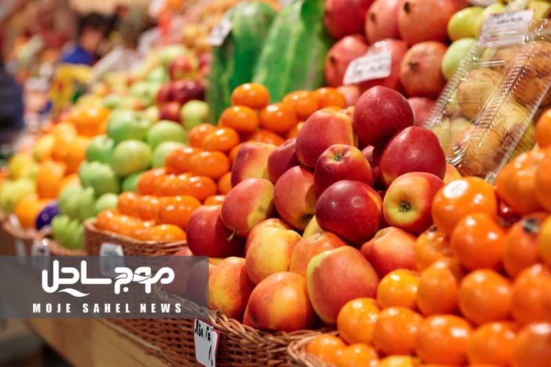 صادرات سیب، پرتقال و خرما ممنوع شد