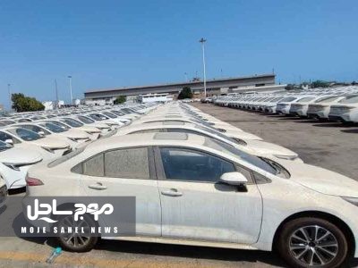 حذف آزمون‌های غیرضروری، راهگشای ترخیص خودروهای برقی در هرمزگان