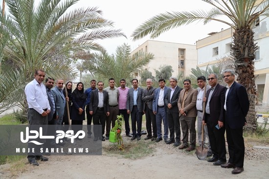 برگزاری مراسم درختکاری در ستاد دانشگاه علوم پزشکی هرمزگان