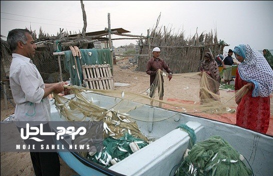 صید ساردین و موتوماهیان از ۱۵ اسفندماه در قشم ممنوع است