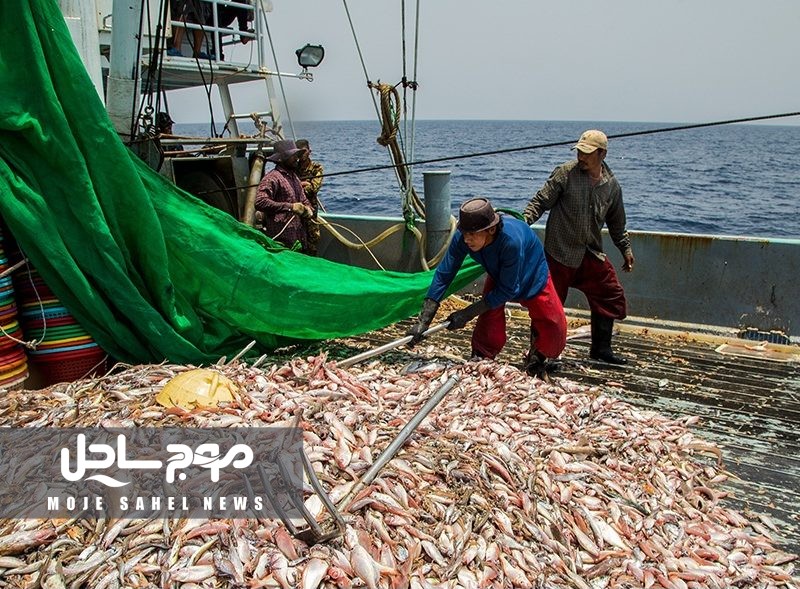 برخورد قاطع با صید غیرمجاز در آب‌های‌ هرمزگان تداوم دارد