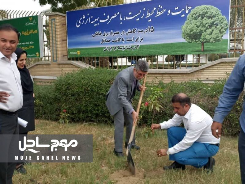 کاشت نهال در شرکت توزیع نیروی برق استان هرمزگان به مناسبت روز درختکاری