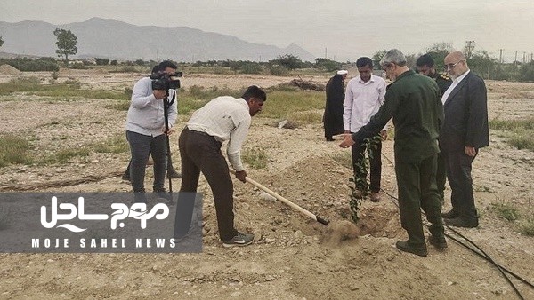 کاشت ۱۵۰۰ اصله نهال به یاد شهدای هرمزگان