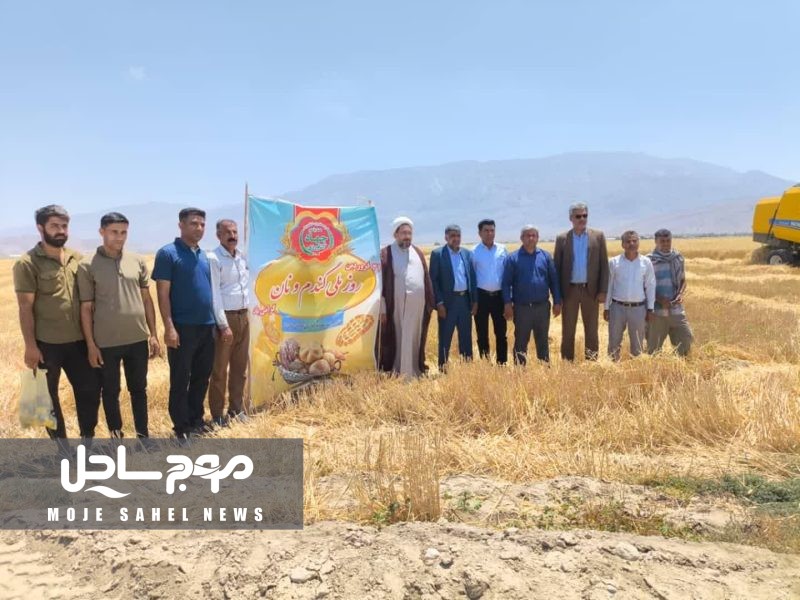 مراسم گرامیداشت روز ملی گندم و نان در حاجی آباد