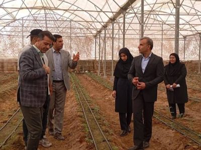 بهره‌برداری از گلخانه یک هکتاری در حاجی‌آباد