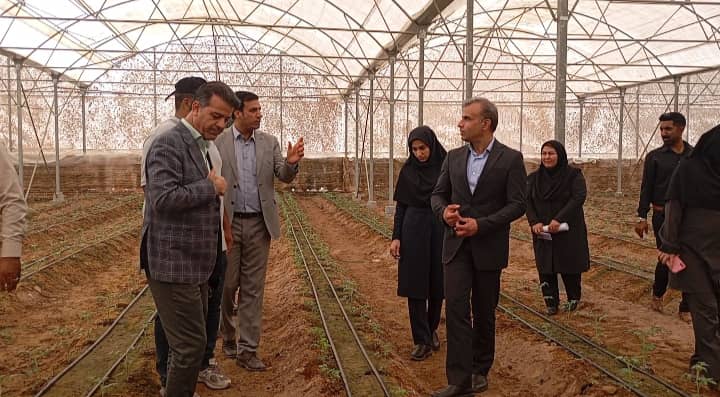 بهره‌برداری از گلخانه یک هکتاری در حاجی‌آباد