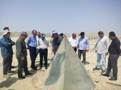 بازدید معاون وزیر جهاد کشاورزی از بزرگترین نخلستان مکانیزه مجول کشور در بشاگرد