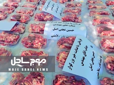 اهدای ۴۰ بسته گوشت گرم بین خانواده ایتام و محسنین توکهور