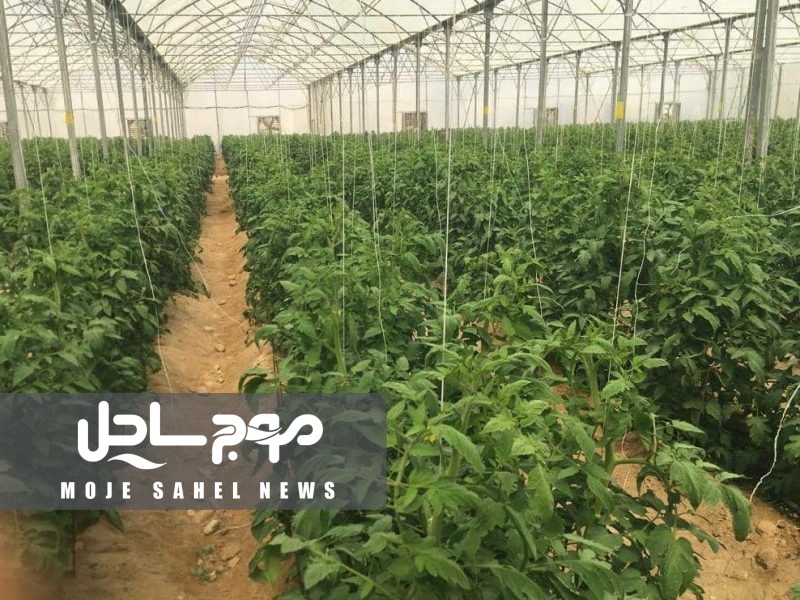 ۹۰ درصد اراضی کشاورزی شهرستان به سیستم نوین آبیاری مجهز شد