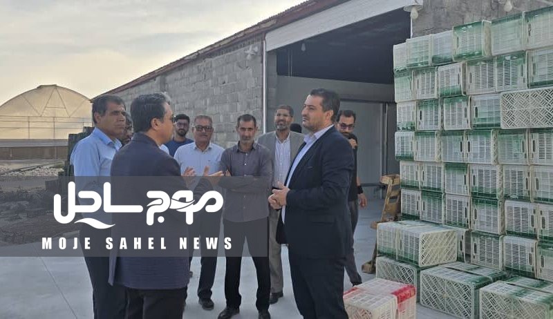 بازدید مسئولان از مجتمع گلخانه‌ای دهنگ شهرستان بستک
