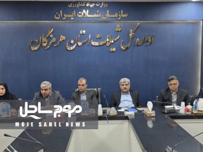 نقشه راه تولید میگوی پرورشی هرمزگان در سال زراعی ۱۴۰۵ تدوین می‌شود