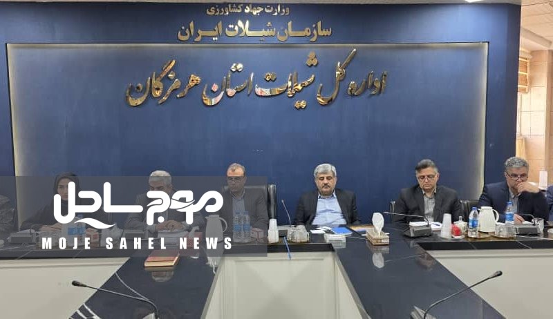 نقشه راه تولید میگوی پرورشی هرمزگان در سال زراعی ۱۴۰۵ تدوین می‌شود