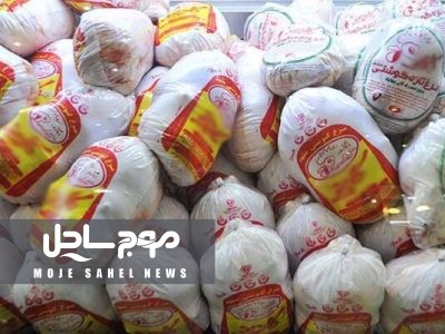 احتکار ۳۰۰ تن مرغ منجمد در هرمزگان