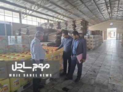 آغاز اجرای طرح نظارتی ویژه ماه مبارک رمضان و نوروز در استان هرمزگان