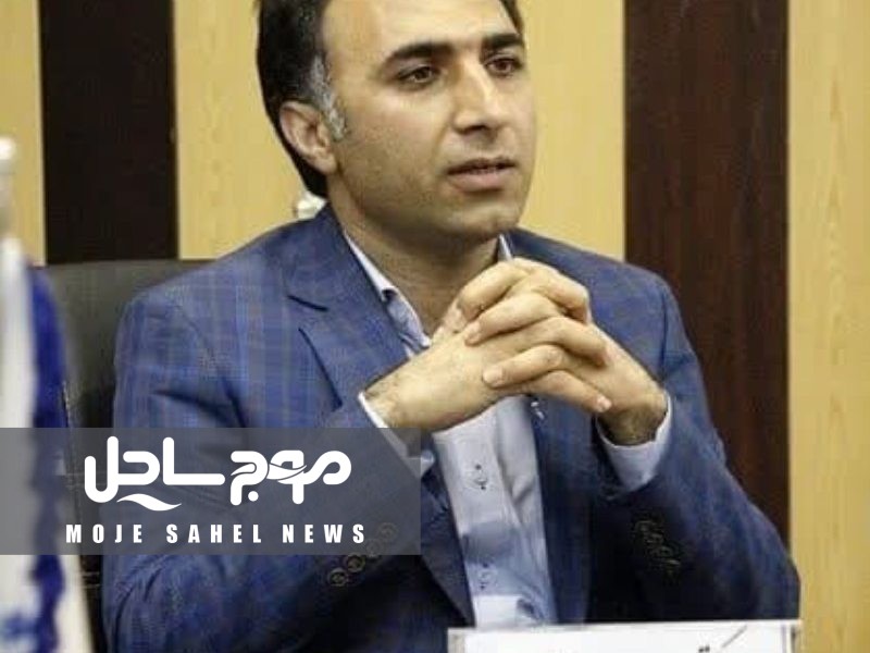 دکتر «مهدی میرزاده کوهشاهی» در رأس دانشگاه هرمزگان قرار گرفت