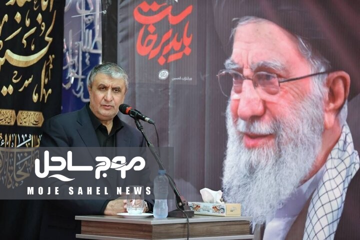محمد اسلامی: صنعت هسته‌ای میراث امام شهید است