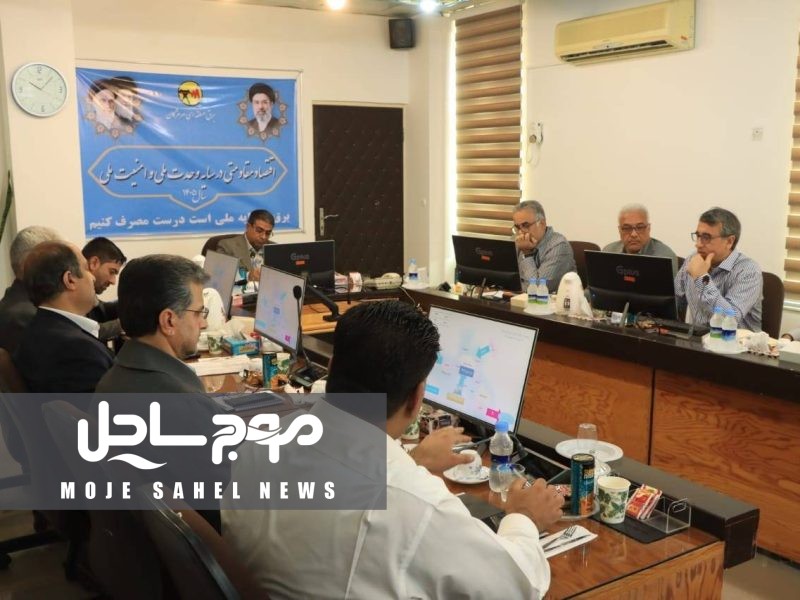 معاون استاندار هرمزگان بر تسریع در توسعه نیروگاه‌های خورشیدی و افزایش ظرفیت تولید برق استان تأکید کرد